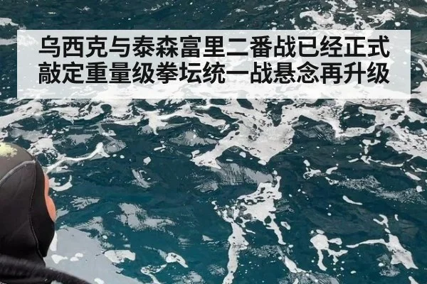 乌西克与泰森富里二番战已经正式敲定重量级拳坛统一战悬念再升级