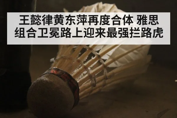 王懿律黄东萍再度合体 雅思组合卫冕路上迎来最强拦路虎